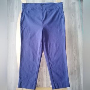 RW&CO. Navy Capri Slacks